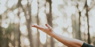 From Overwhelmed to Empowered: A Practical Blueprint for Managing Work Stress Without Burning Out tilt shift lens photography of person lifting hand