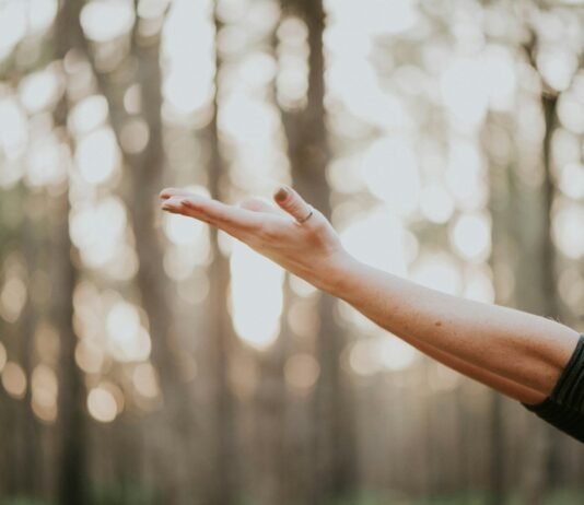 From Overwhelmed to Empowered: A Practical Blueprint for Managing Work Stress Without Burning Out tilt shift lens photography of person lifting hand