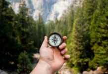 Rising with Purpose: A Real-Life Guide to Becoming an Early Sleeper and Riser Without Forcing It person holding compass facing towards green pine trees