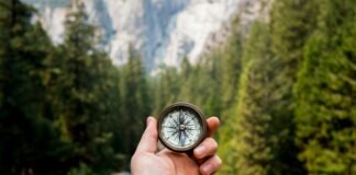 Rising with Purpose: A Real-Life Guide to Becoming an Early Sleeper and Riser Without Forcing It person holding compass facing towards green pine trees