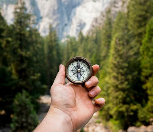 Rising with Purpose: A Real-Life Guide to Becoming an Early Sleeper and Riser Without Forcing It person holding compass facing towards green pine trees