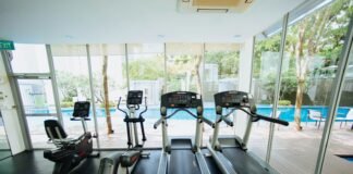The Core of Strength: 5 Essential Exercises to Build Stability, Power, and Endurance black treadmills and elliptical trainers in glass room