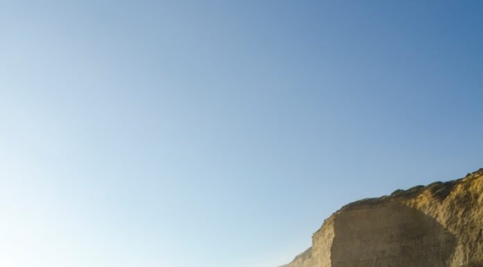 Breaking the Cycle: A Realistic Path to Beating Procrastination and Reclaiming Your Time woman walking on shore