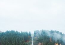 Your Daily Self-Care Blueprint: Small Habits for a Healthier, Happier You woman wearing knit cap walking on white bridge between trees during daytime