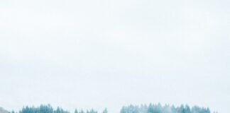 Your Daily Self-Care Blueprint: Small Habits for a Healthier, Happier You woman wearing knit cap walking on white bridge between trees during daytime