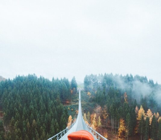 Your Daily Self-Care Blueprint: Small Habits for a Healthier, Happier You woman wearing knit cap walking on white bridge between trees during daytime